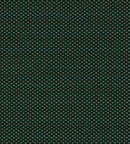 Pavo Fabric by Clarke & Clarke Forest