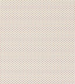 Pavo Fabric by Clarke & Clarke Raspberry