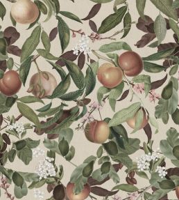 Peach Valley Wallpaper by Rebel Walls Sand