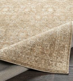 Livabliss Penny rug Tan 306 BOPE2306-537 Tan 306