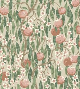 Persikotrad Wallpaper by Borastapeter Peach
