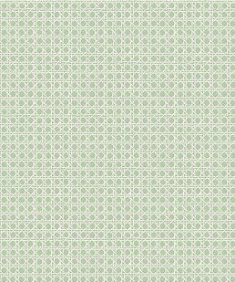 Petit Rattan Wallpaper by Madeaux 05 Jade