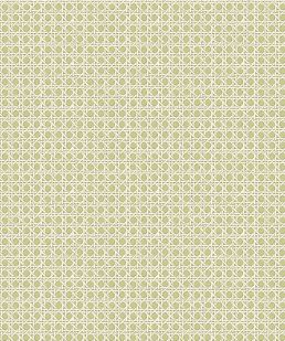 Petit Rattan Wallpaper by Madeaux 06 Fennel