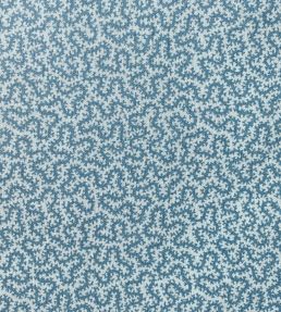 Petra Fabric by Ian Sanderson Beck