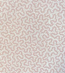 Petra Fabric by Ian Sanderson Bisque