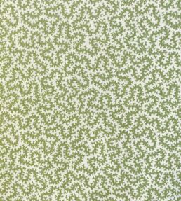 Petra Fabric by Ian Sanderson Comfrey