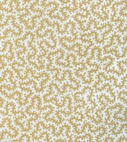 Petra Fabric by Ian Sanderson Popcorn