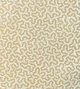 Petra Fabric by Ian Sanderson Popcorn