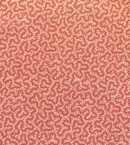 Petra Fabric by Ian Sanderson Strawberry