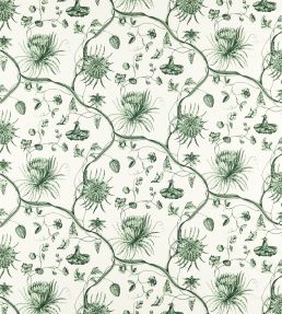 Phaedra Toile Fabric by Zoffany Huntsmans Green