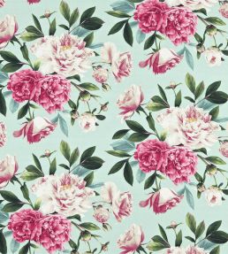 Phoebe Fabric by Zoffany Sky/Pink