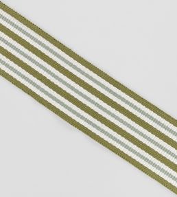 Pia Braid Trimming by Romo Elm