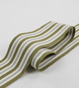 Pia Braid Trimming by Romo Elm