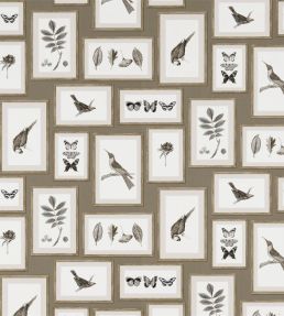 Picture Gallery Wallpaper by Sanderson Taupe/Sepia