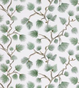 Pignoli Wallpaper by Scalamandre Fern