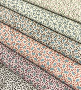 Pinto Fabric by Ian Sanderson Blossom