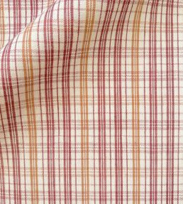 Pippin Check Fabric by Ian Sanderson Tamarind