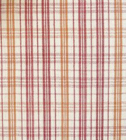 Pippin Check Fabric by Ian Sanderson Tamarind