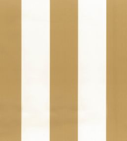 Pisa Stretto Fabric by Osborne & Little Amber
