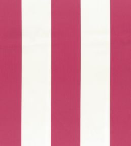 Pisa Stretto Fabric by Osborne & Little Azalea