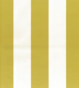 Pisa Stretto Fabric by Osborne & Little Chartreuse