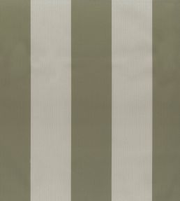 Pisa Stretto Fabric by Osborne & Little Forest