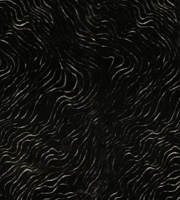 Piti Fabric by Casamance Noir