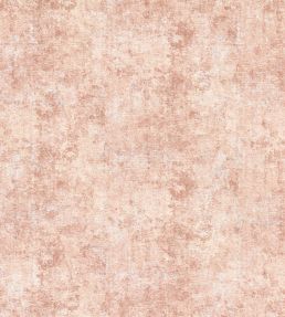 Pittura Fabric by Clarke & Clarke Blush