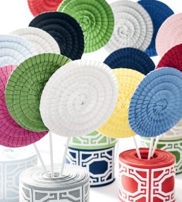 Pleated Tape Trimming by Thibaut Mist