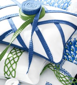 Pleated Tape Trimming by Thibaut Peony