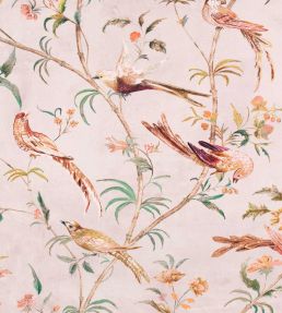 Pluma Fabric by Romo Blush