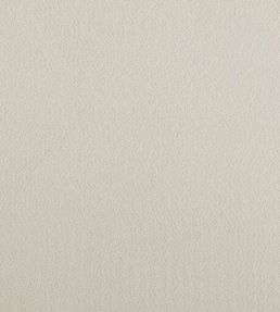 Plume Fabric by Kai Oyster
