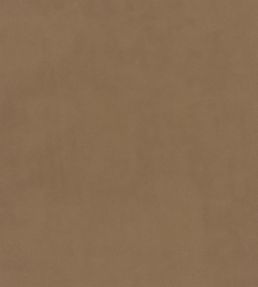 Plush Velvet Fabric by Warwick Almond
