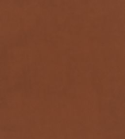 Plush Velvet FR Fabric by Warwick Apricot