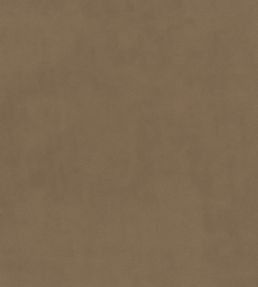 Plush Velvet FR Fabric by Warwick Cardamom