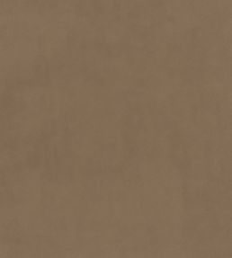 Plush Velvet FR Fabric by Warwick Caribou