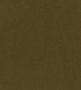 Plush Velvet Fabric by Warwick Cedar