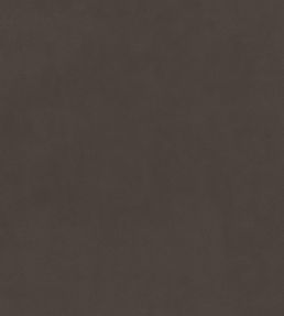 Plush Velvet FR Fabric by Warwick Cinder