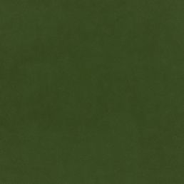 Plush Velvet Fabric by Warwick Conifer