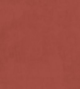 Plush Velvet FR Fabric by Warwick Coral