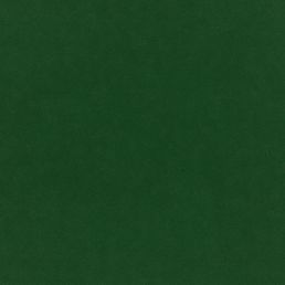 Plush Velvet Fabric by Warwick Evergreen