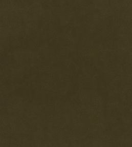 Plush Velvet FR Fabric by Warwick Forage