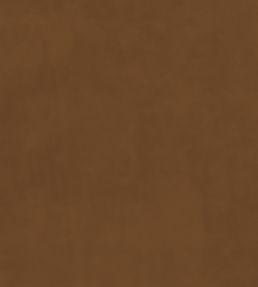 Plush Velvet Fabric by Warwick Gingernut