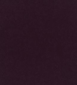 Plush Velvet FR Fabric by Warwick Liqueur