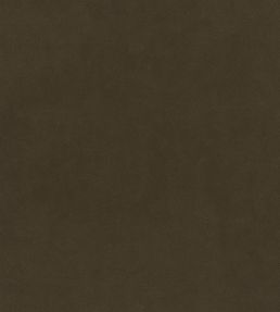 Plush Velvet FR Fabric by Warwick Poplar