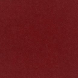 Plush Velvet Fabric by Warwick Rouge