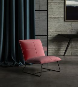 Plush Velvet Fabric by Warwick Rouge