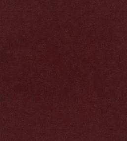 Plush Velvet Fabric by Warwick Ruby
