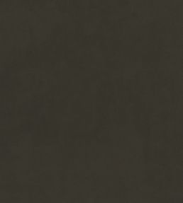 Plush Velvet FR Fabric by Warwick Spruce