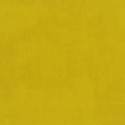 Plush Velvet Fabric by Warwick Zest